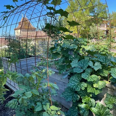 Maison De Charme * Castet-Arrouy