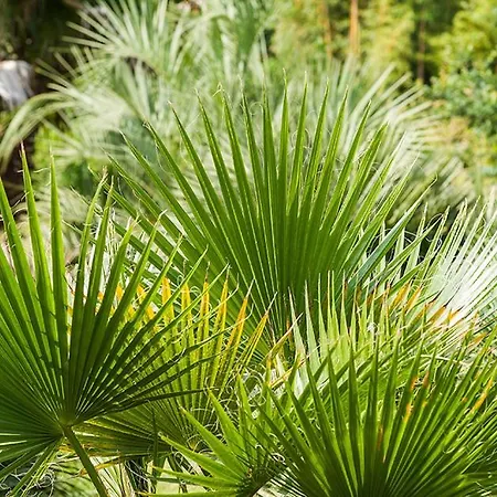 Casa vacanze Maison De Charme Castet-Arrouy