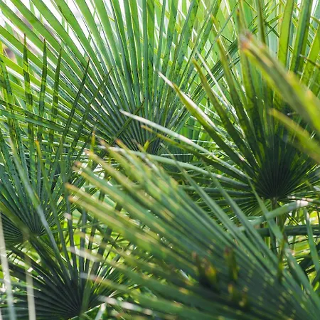 Casa vacanze Maison De Charme *