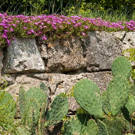 Casa vacanze Maison De Charme Castet-Arrouy