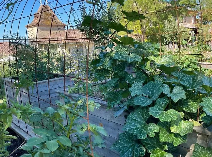 Maison De Charme * Castet-Arrouy