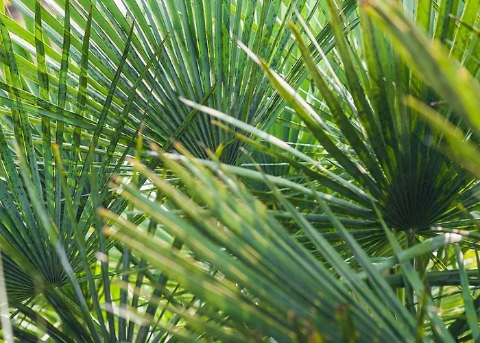 Semesterbostad Maison De Charme *