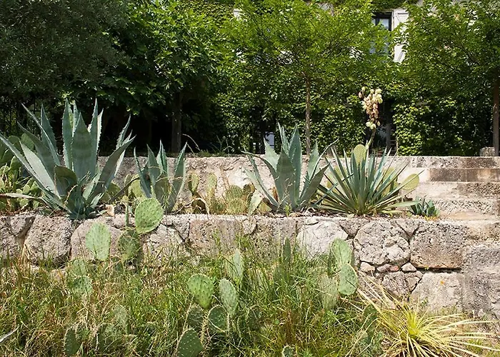 Semesterbostad Maison De Charme