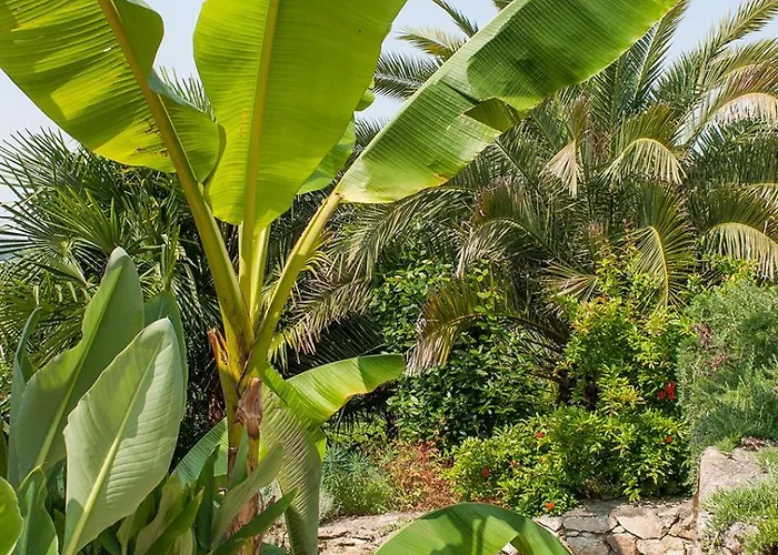 Semesterbostad Maison De Charme